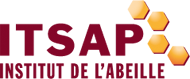 Logo ITSAP